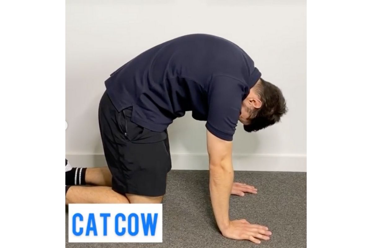 Cat Cow Starting Position