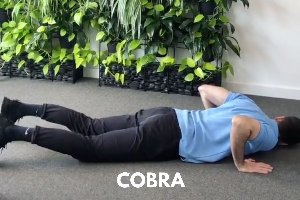 Cobra-Starting-Position